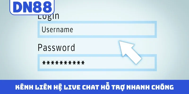 Kênh liên hệ live chat hỗ trợ nhanh chóng